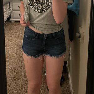 KanCan USA Distressed Shorts